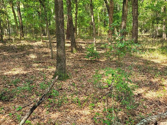 4th image of Tbd Oakwood