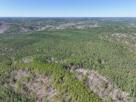 Dji 20260222113712 0052 D