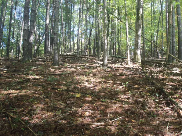 Cutcane Cutcane Rd, Mineral Bluff, GA 30559