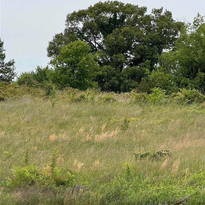 1st image of LOT 25 Laurel Way