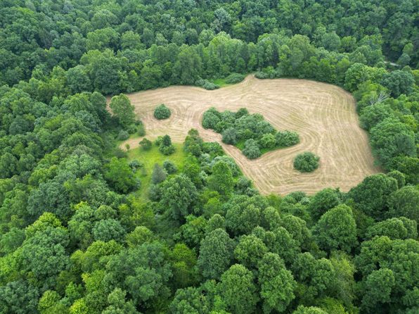 604 Stringtown Rd, Looneyville, WV 25259