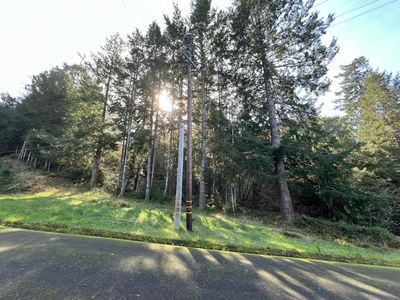 560 Upper Pacific Dr, Whitethorn, CA, 95589