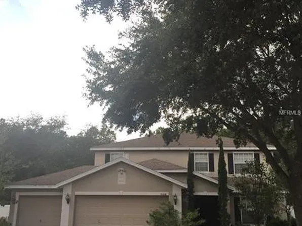 16206 Leta Trace Ct, Tampa, FL 33624