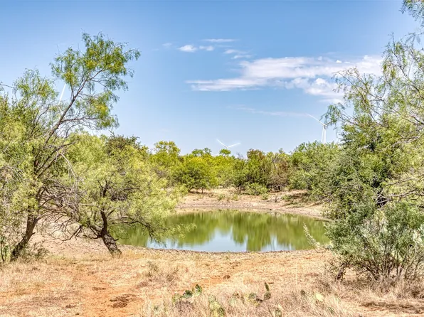 County Road 306, Moran, TX 76464