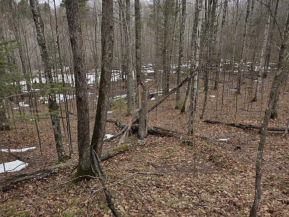 3rd image of County Road K