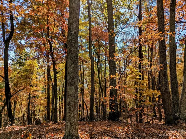 28 Hidden Lake Pkwy, Nebo, NC 28761