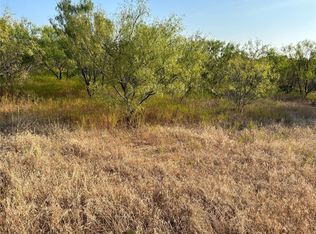 315 Georgia Pass, Desdemona, TX 76445