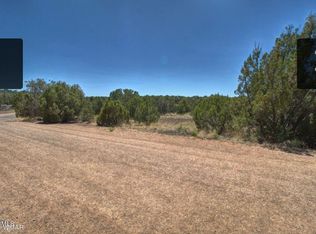 1916 Daggs Cir #H, Show Low, AZ 85901