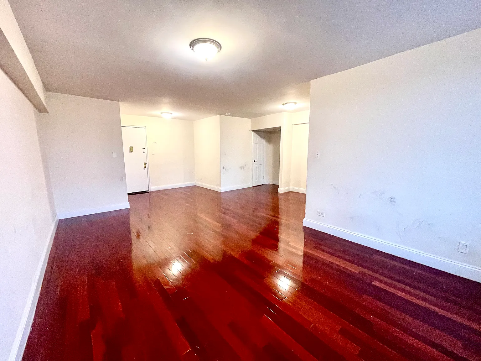 1 bed, 725 sqft, $2,500 — Photo 2