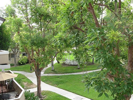 2nd image of 12621 Moordale Cir
