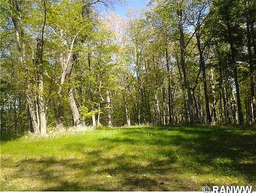 4th image of 0 N Bass Lake Lane