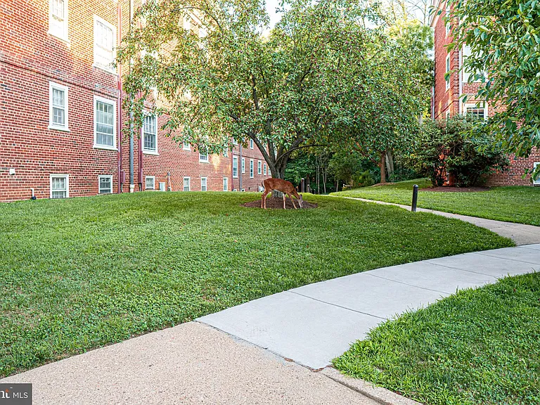 3824 Porter St NW #E395 — Photo 46