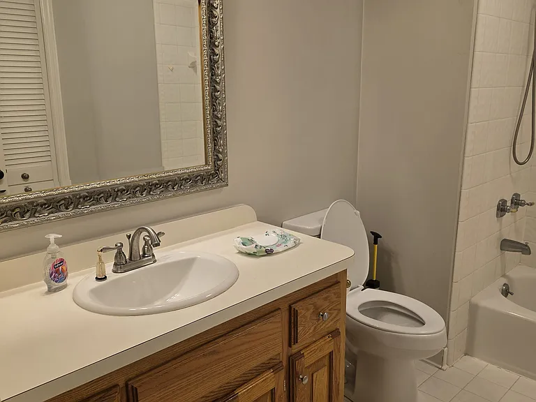 Hallway Bathroom