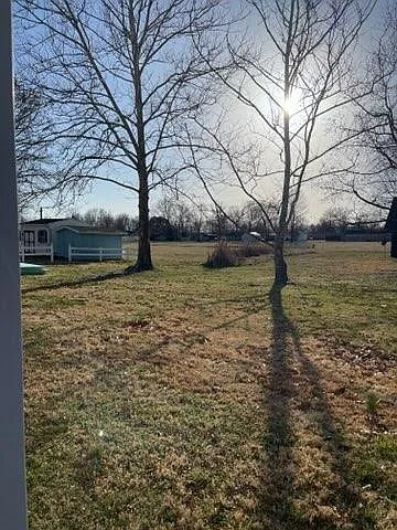 Large, open back yard.