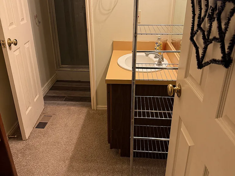 2411 Lily Langtry Ct — Photo 10