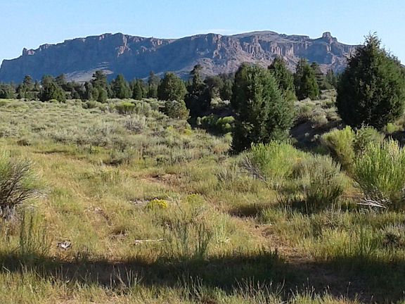 4th image of 159 Acres Tom Best Springs Rd