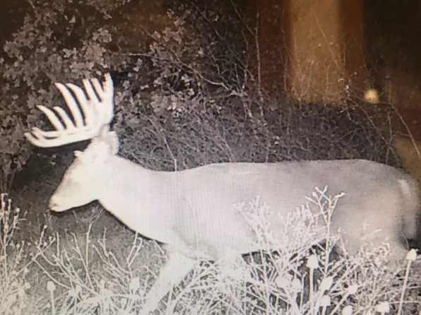 County Road 434, Cross Plains, TX 76443