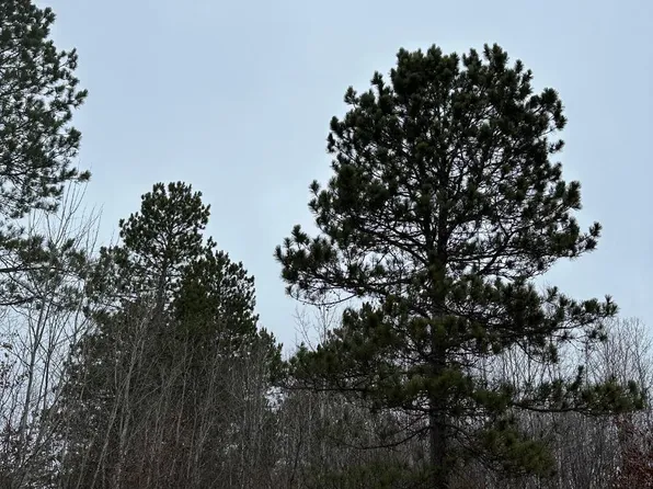 Prairie Lake Rd #4069-8, Tomahawk, WI 54487