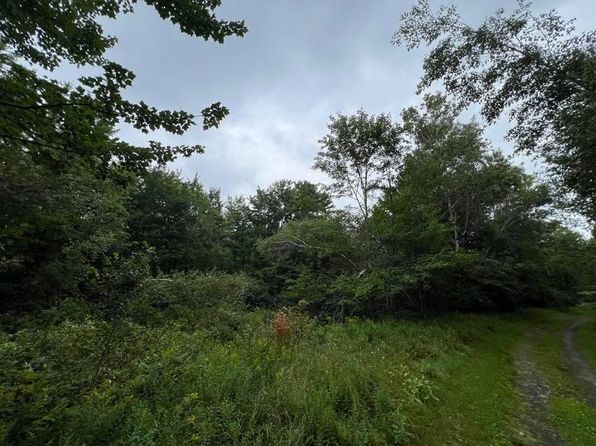 Clinton Mills Rd, Churubusco, NY 12923