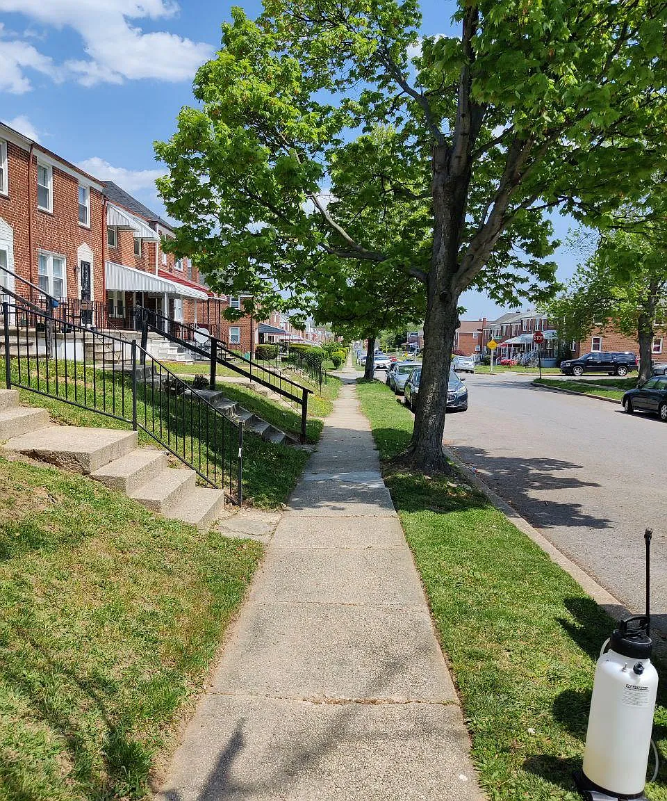 3 bed, 1050 sqft, $1,350 — Photo 4