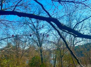 0 County Road 8060, Yellville, AR 72687