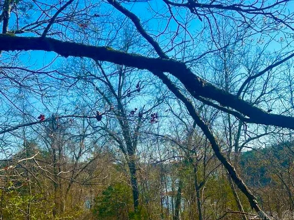 0 County Road 8060, Yellville, AR 72687