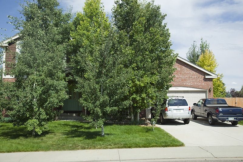 Front Yard