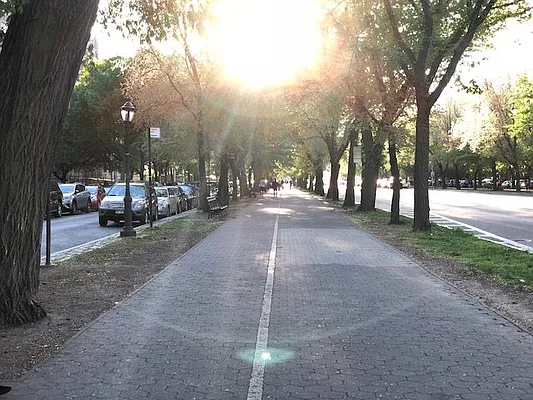 Rented by Lang Realty LLC | media 24