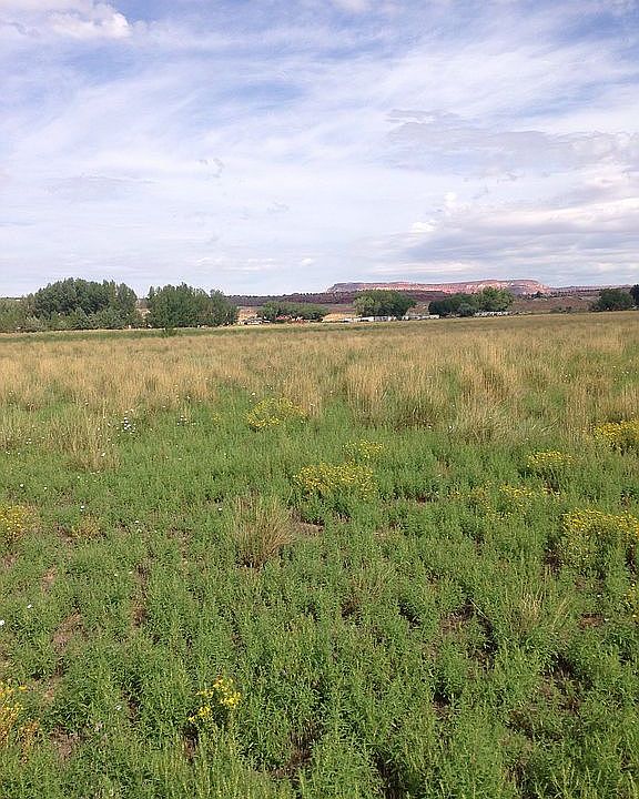 2nd image of Second West