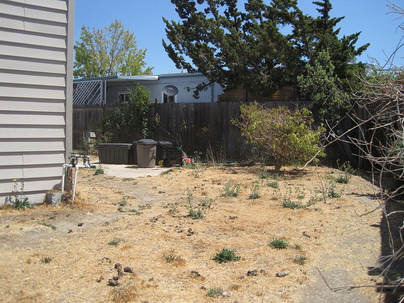 2nd image of 364 Glacier Way