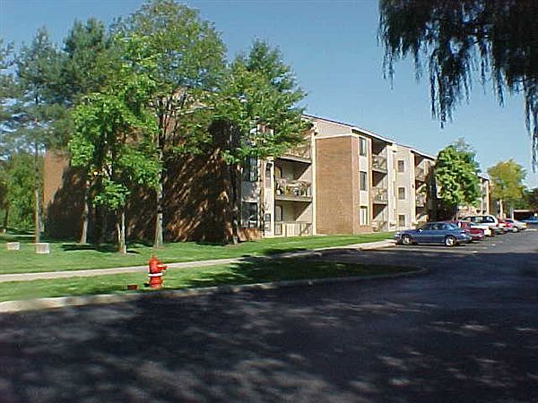 Welcome to Willow Tree!