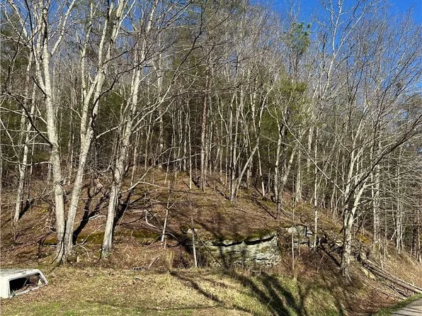 1038 Sycamore Rd, Griffithsville, WV 25521