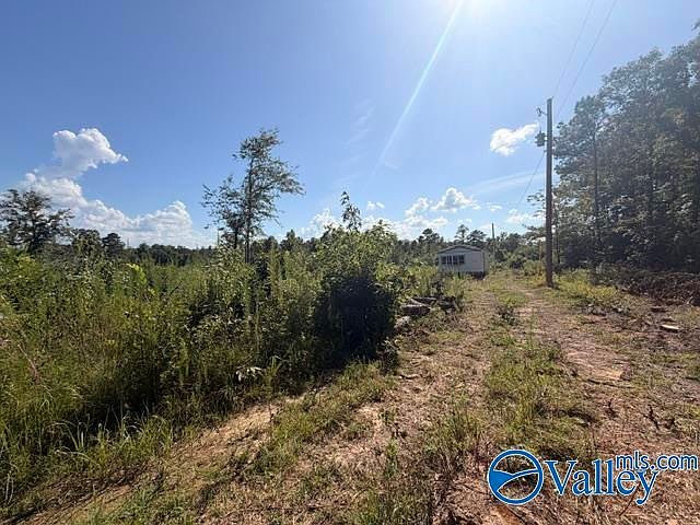 2nd image of 7495 County Road 113