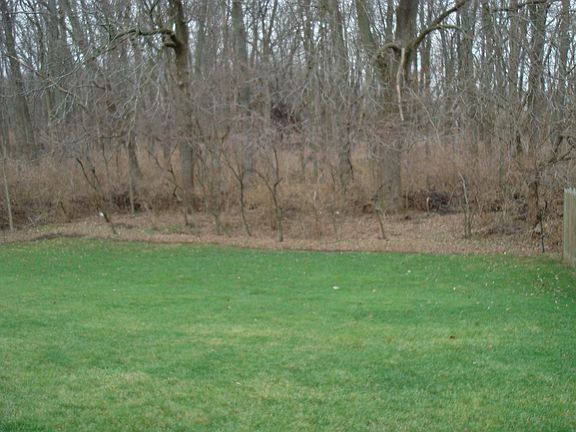 Back yard private woods!