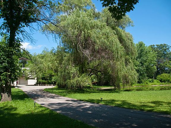 Long driveway for privacy