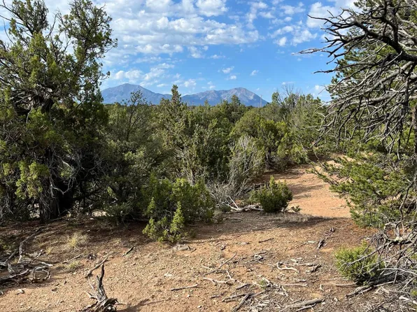 Buffalo Dr N #96, Walsenburg, CO 81089