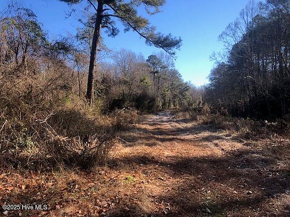 2nd image of 9.78 Ac Sr 1528 Off Road