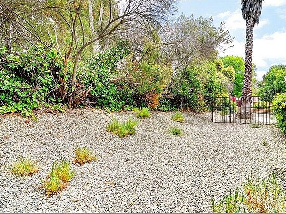 Side Yard 1
