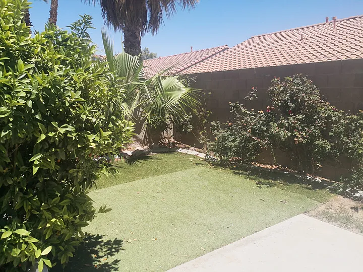 Polynesia Cir — Photo 9