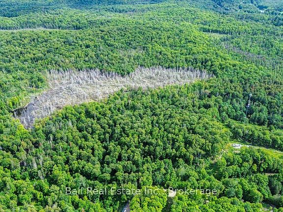 4th image of 390 Saint Ola Rd