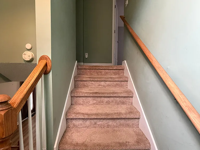 693 Cotton Branch Dr — Photo 10