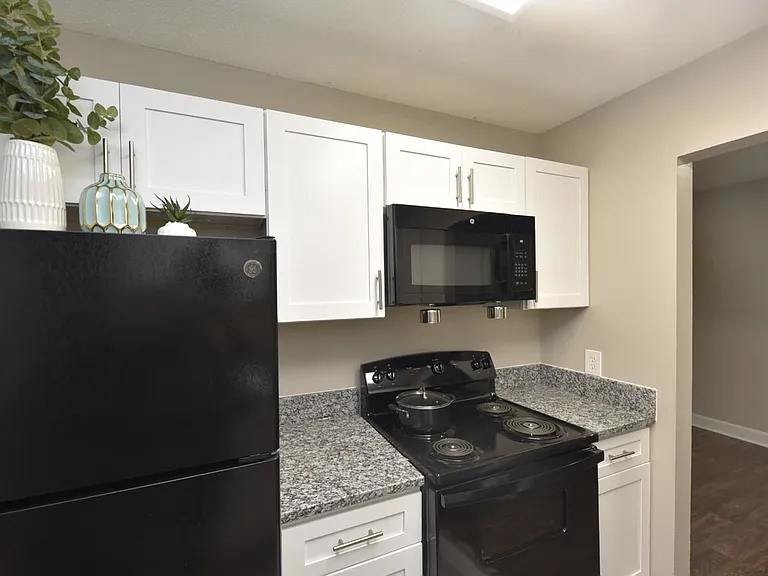 Granite Counters + Black Appliances