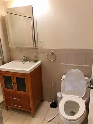 Rented by Furumoto Realty of New York City Inc | media 47