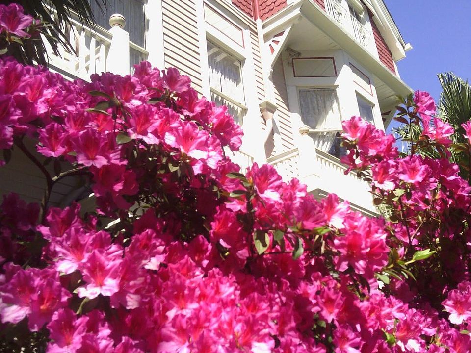 1st image of 3221 Prytania St