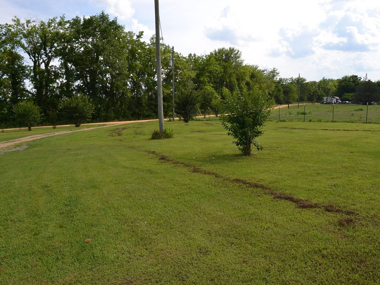 1081 Mingo Bracey Rd, Hayneville, AL 36040 Zillow