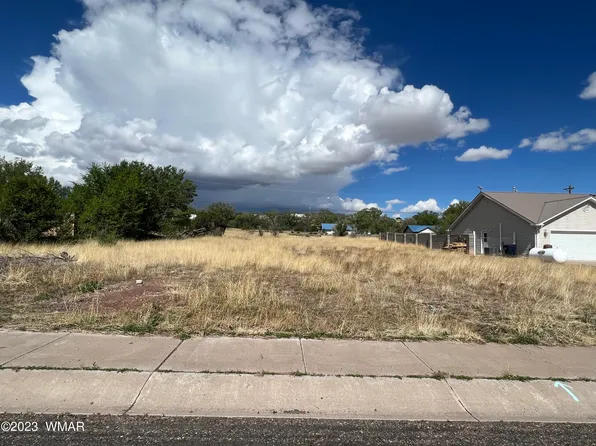 N Voigt St, Springerville, AZ 85938