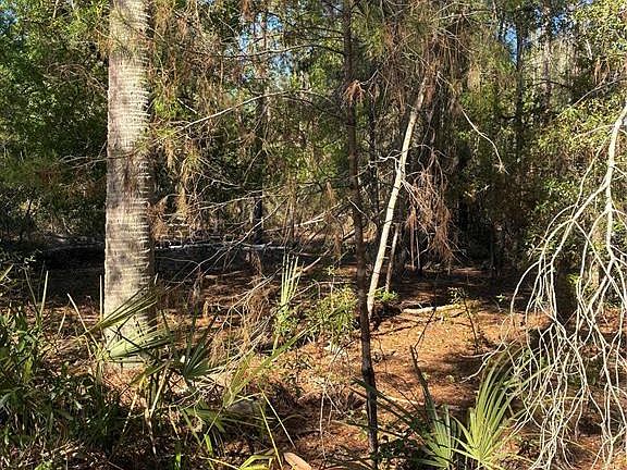 3rd image of 24533 Pink Panther Rd