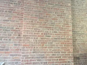 Rented by Judy Etman, LREB