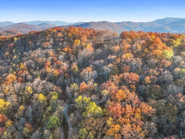 4 Wilderness Trl, Blue Ridge, GA 30513