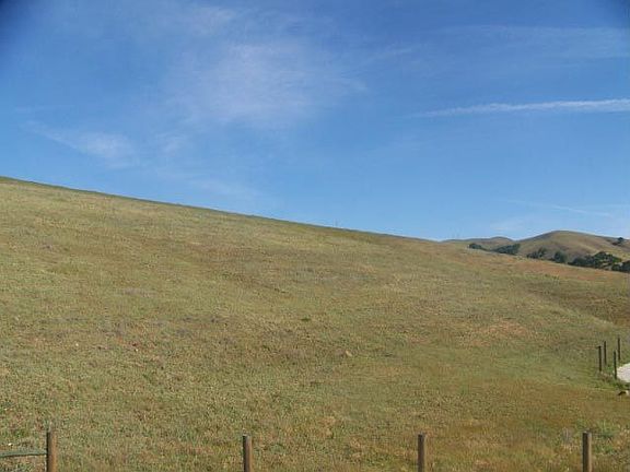 Foothills View